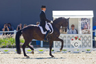 The highly acclaimed winner of the CDI4* Freestyle: GLOCK rider Edward Gal (NED) and Glock's Undercover doing the piaffe © Michael Rzepa