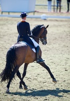 GLOCK Rider Hans Peter Minderhoud with GLOCK's Romanov. © Arnd Bronkhorst