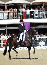 The highly acclaimed winner of the CDI4* Freestyle: GLOCK rider Edward Gal and Glock’s Undercover doing the passage © Nini Schäbel