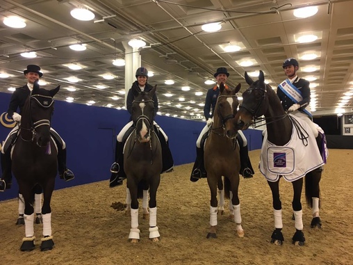Edward Gal, Charlotte Dujardin, Hans Peter Minderhoud und Carl Hester sind privat gut befreundet und genießen die gemeinsame Zeit am Turnier. © GHPC